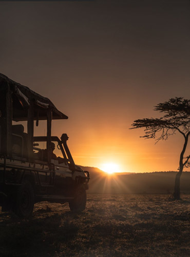 game drives